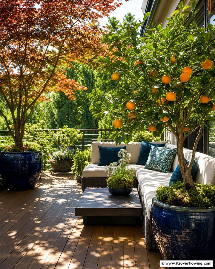 Potted Trees for Shade - 25 Deck Decorating Ideas With Plants for a Lush Outdoor Space