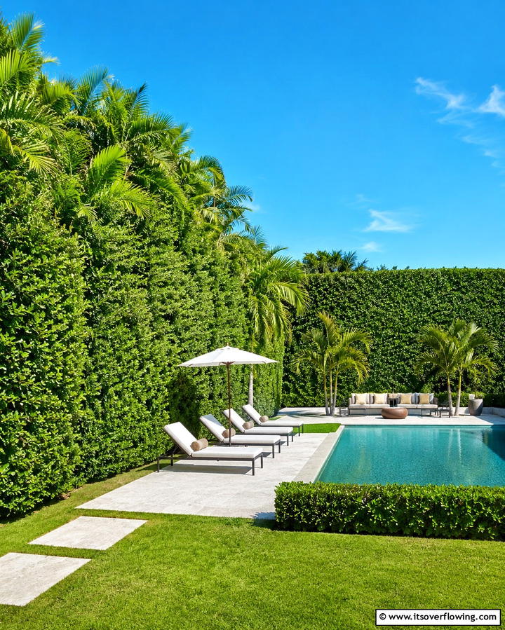 Privacy Hedges for Seclusion - 25 South Florida Landscaping Ideas for Tropical Vibes
