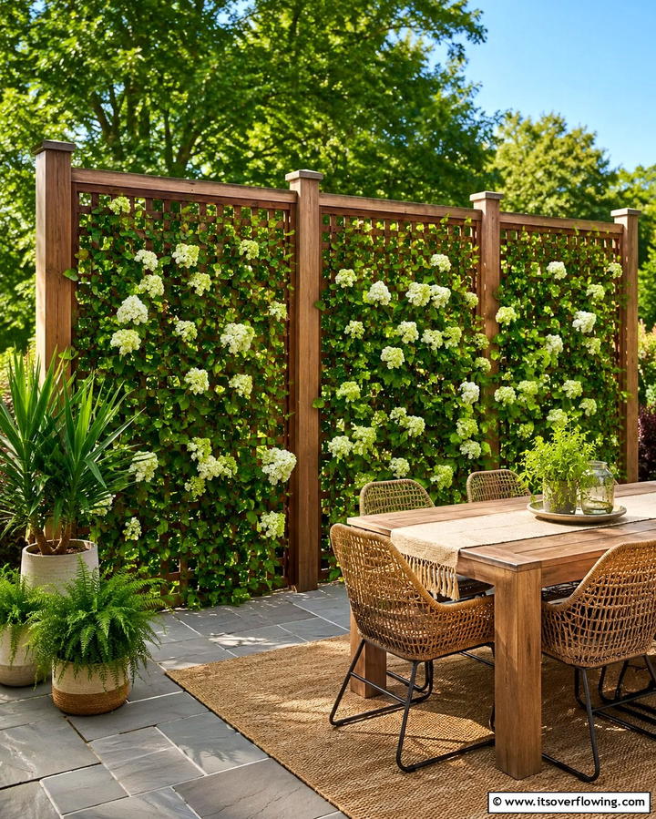 Privacy Screen Trellis - 25 Trellis Ideas to Enhance Your Garden Aesthetics