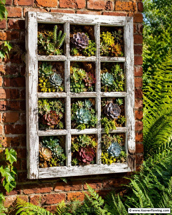 Reclaimed Window Frame Garden - 30 Outdoor Succulent Container Ideas for Easy Gardening