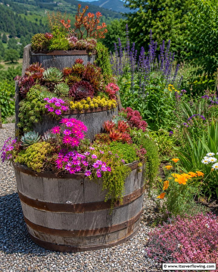 Reclaimed Wood Barrel Garden - 30 Outdoor Succulent Container Ideas for Easy Gardening