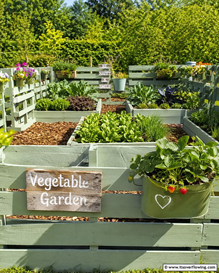 Recycled Pallet Fence - 20 Practical Vegetable Garden Fence Ideas for Your Yard