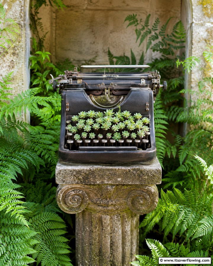 Repurposed Typewriter Display - 25 Vintage Garden Ideas for a Timeless Outdoor Space