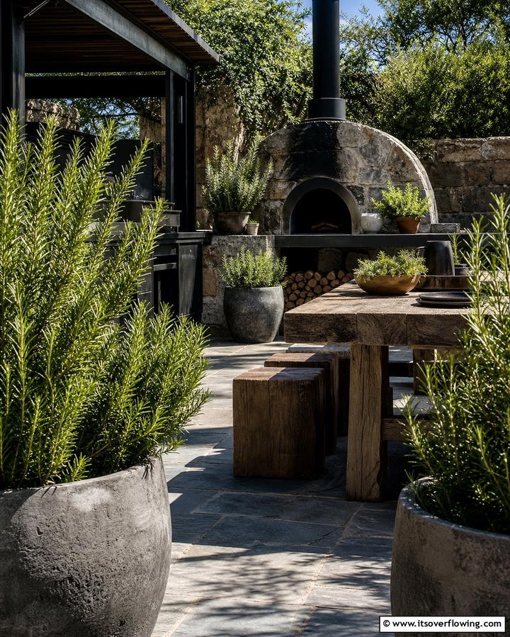 Rosemary for Culinary Delight - 25 Outdoor Plants for Patio to Enhance Your Space