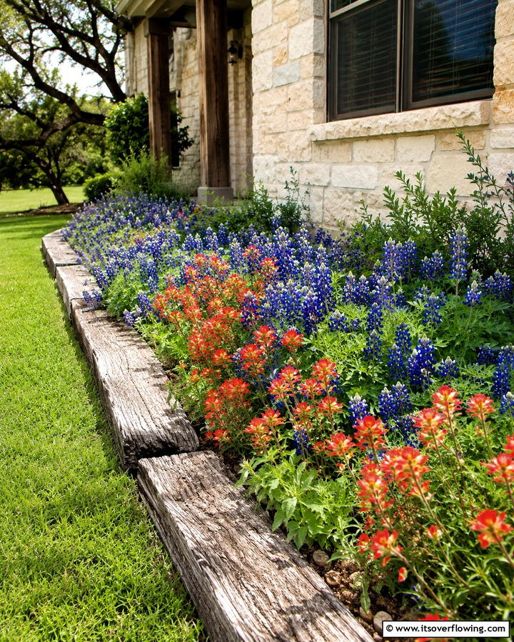 Rustic Texas Wildflower Bed - 25 Front Yard Texas Flower Bed Ideas for a Stunning Look