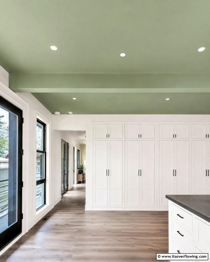 Sage Green Ceiling for an Unexpected Pop - 25 Sage Green Laundry Room Ideas for a Fresh Look