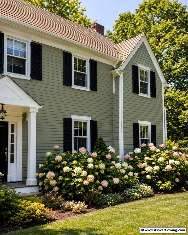 Sage Green Siding with Black Shutters - 25 Sage Green House With Black Trim Ideas for Curb Appeal