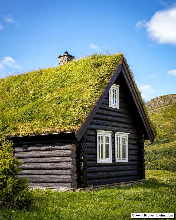 Scandinavian Inspired Green Roof - 25 Houses With Green Roofs for Eco-Friendly Living