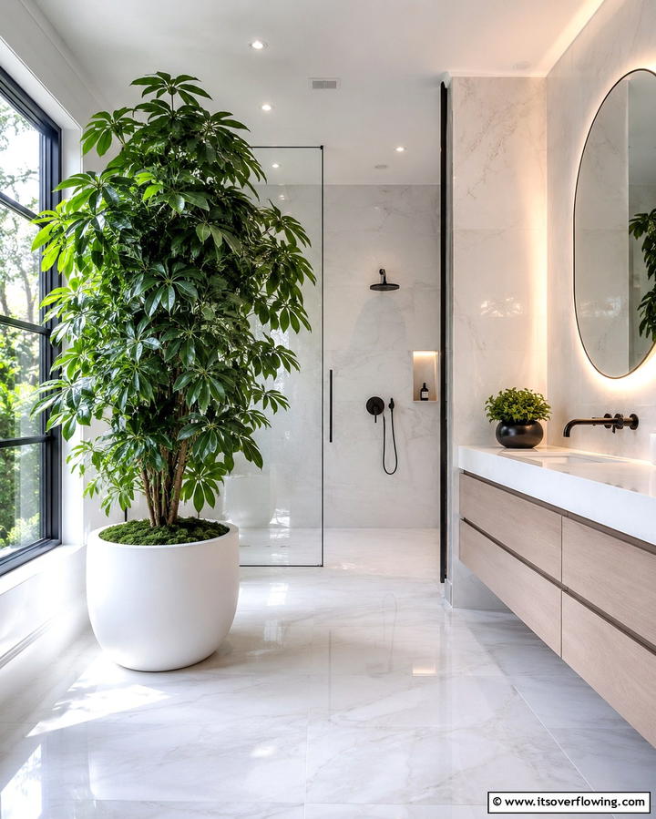 Schefflera Umbrella Tree - 30 Best Plants for Bathroom Spaces to Enhance Humidity & Style