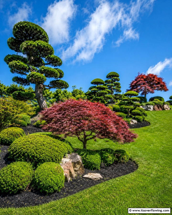 Sculptural Trees and Shrubs - 30 Hillside Landscaping Ideas for Sloped Yards