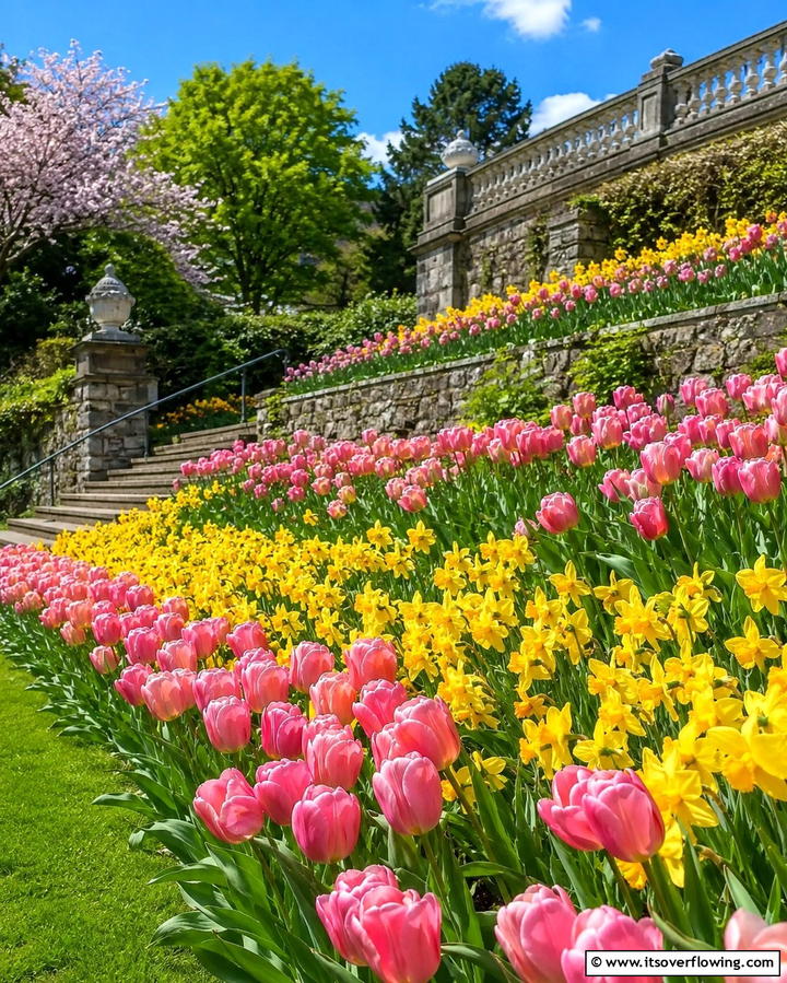 Seasonal Flower Beds - 25 Terraced Garden Ideas for Sloped Landscapes