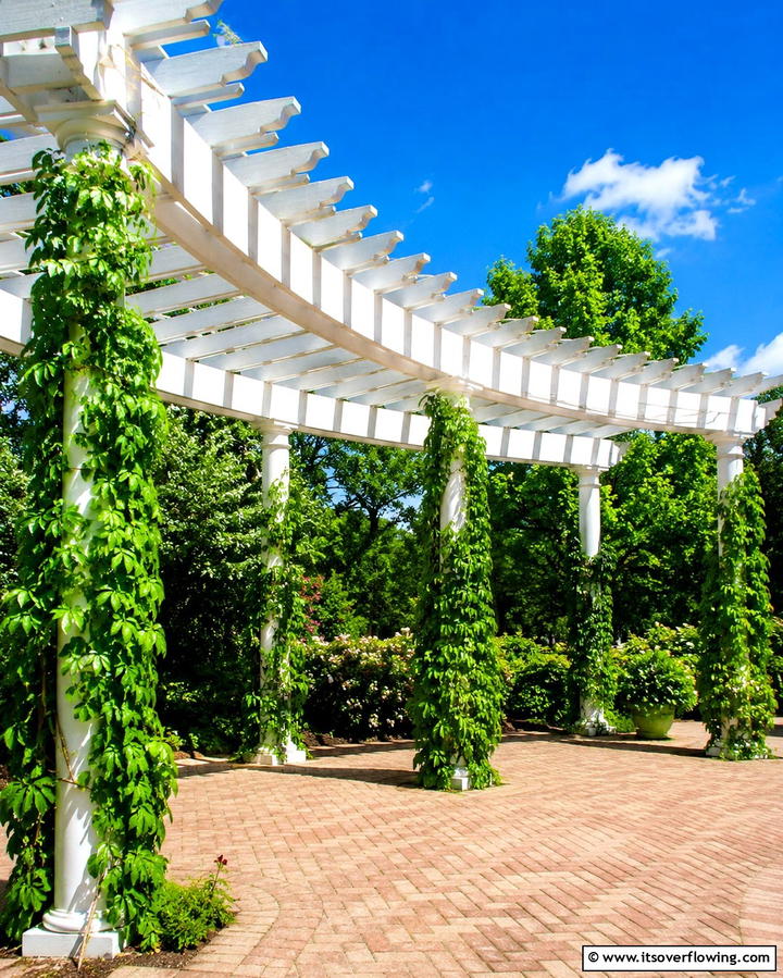 Semi Circle Patio with PergolaExact - 25 Semi Circle Patio Ideas and Inspiration for Your Backyard