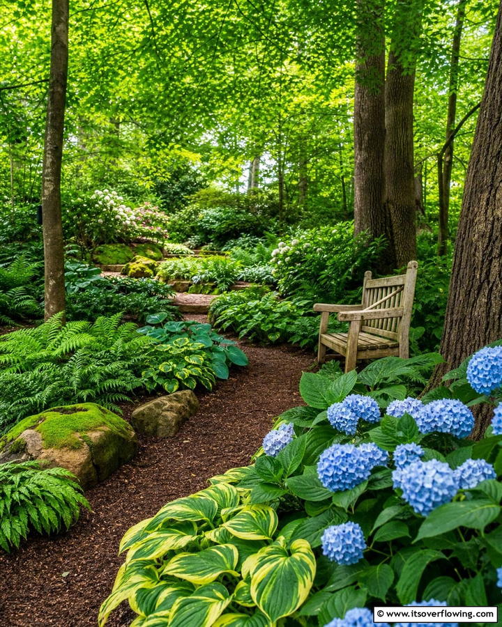 Shade Loving Plants - 20 Garden Shade Ideas to Create a Cool and Comfortable Outdoor Space