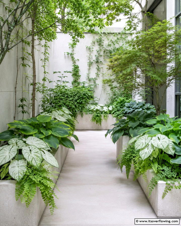 Shade Tolerant Gardens - 25 Urban Garden Ideas for Small Spaces