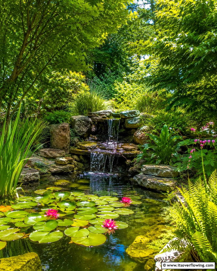 Shaded Water Features - 25 Shady Garden Ideas for Lush, Cool Spaces