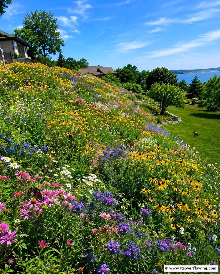 Sloping Wildflower Meadow - 25 Down Sloped Backyard Ideas for a Unique Outdoor Space