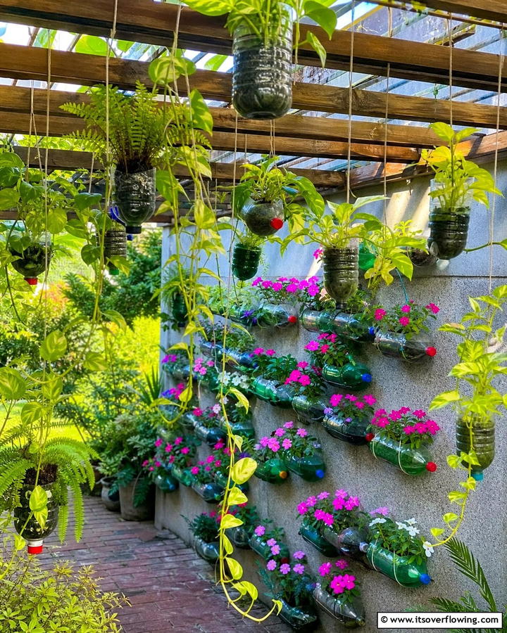 Small Indoor Garden with Recycled Bottles - 30 Budget Small Garden Ideas to Transform Outdoor Space