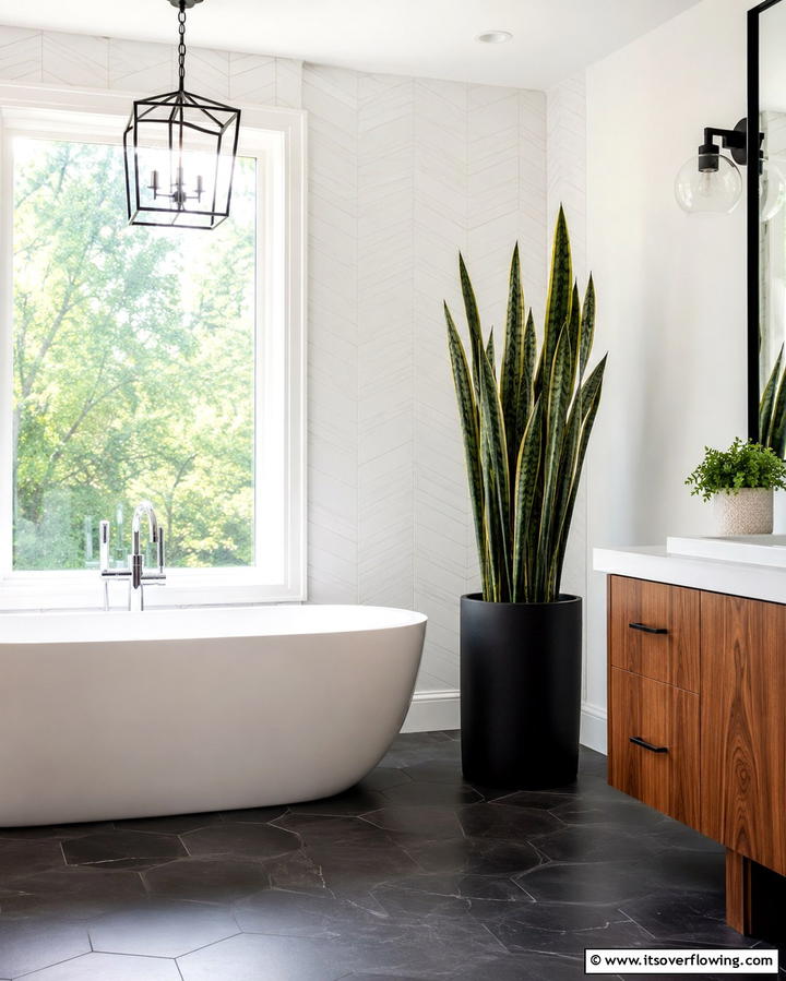 Snake Plant - 30 Best Plants for Bathroom Spaces to Enhance Humidity & Style