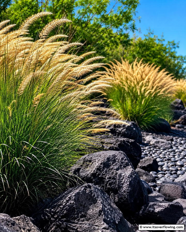 Soft Grasses and Rock Contrast - 30 Natural Black River Rock Landscaping Ideas for Texture