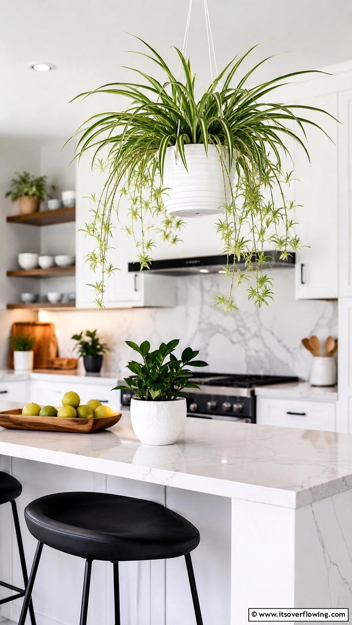 Spider Plant Easy Air Cleaner - 30 Low-Light Indoor Plants That Don’t Need Sun to Thrive