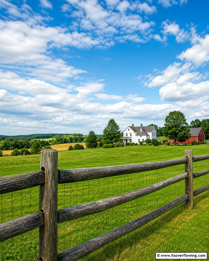 Split Rail Fence - 25 Wood Fence Ideas to Enhance Your Outdoor Space