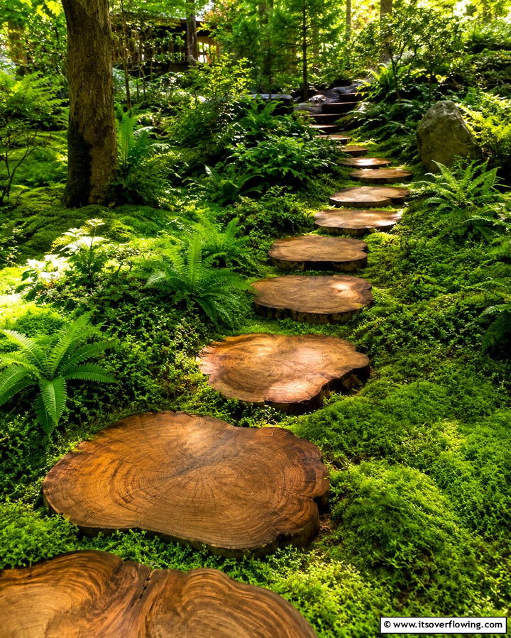 Stepping Stone Trails - 25 Paver Walkway Ideas to Enhance Your Outdoor Space