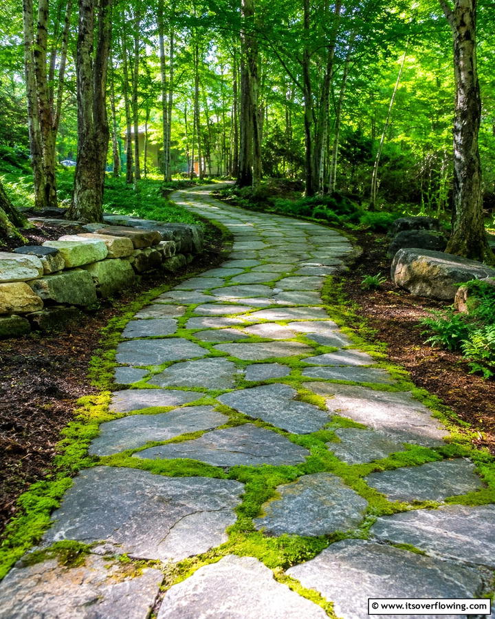 Stone Pathways with Moss - 25 Gothic Garden Ideas for a Dark and Mysterious Oasis