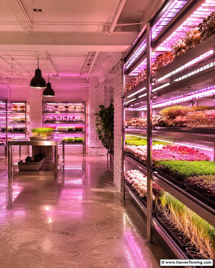Subterranean Gardens - 25 Urban Garden Ideas for Small Spaces