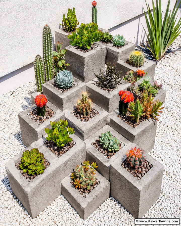 Succulent Garden in Cinder Blocks - 30 Innovative Cinder Block Garden Ideas for Urban Green Spaces