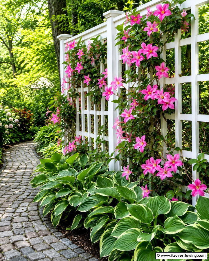 Tall Green Hedges - 30 Backyard Privacy Ideas for Creating a Secluded Outdoor Oasis