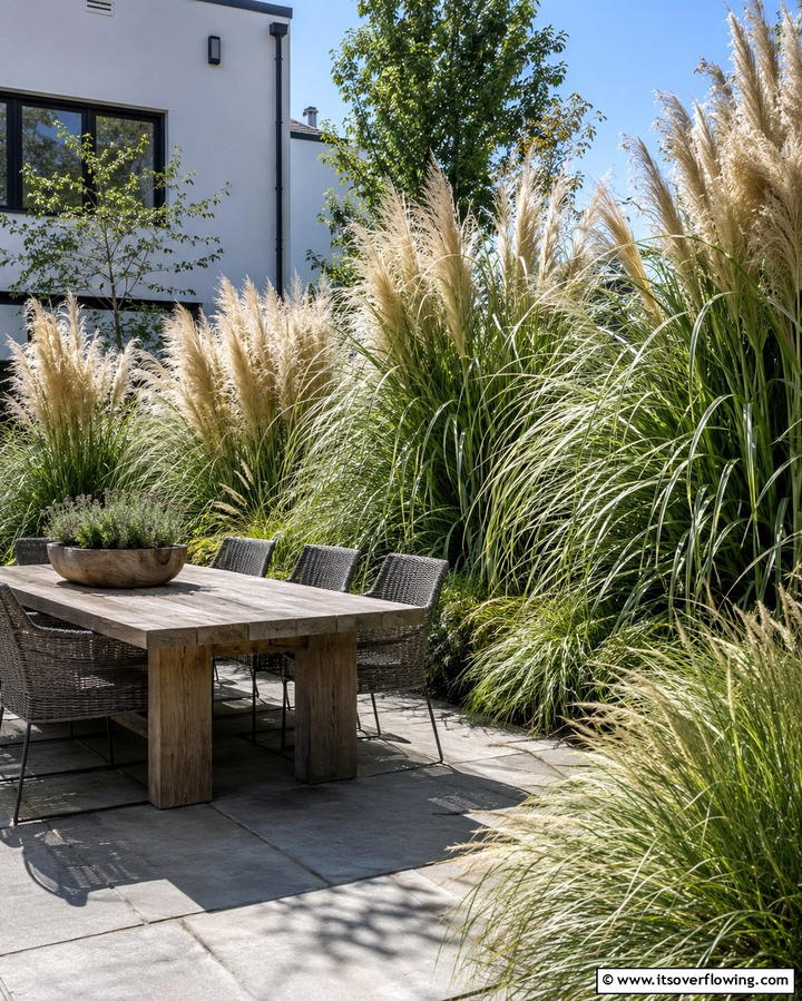 Tall Ornamental Grasses - 30 Cheap Ways to Block Neighbors View in Your Garden