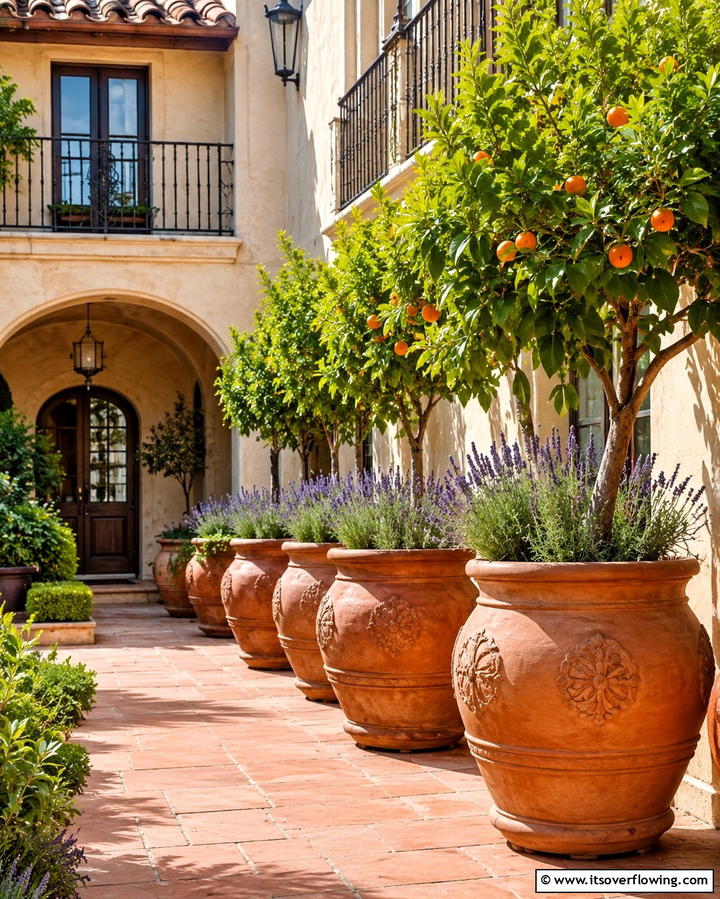 Terra Cotta Planters for Authenticity - 25 Spanish Style Patio Ideas for Outdoor Living