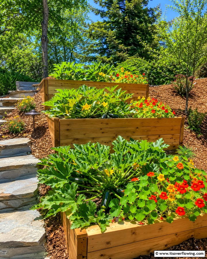 Tiered Raised Garden Beds - 25 Raised Garden Bed Ideas for a Thriving Vegetable Garden