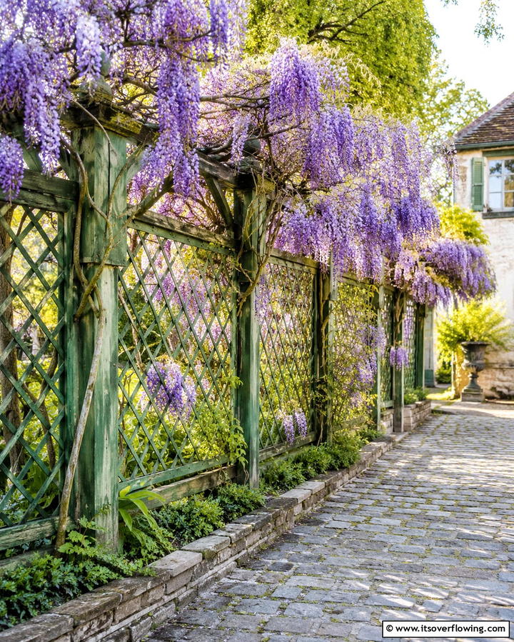 Traditional Split Rail Fence - 30 Backyard Fence Ideas for Style and Functionality