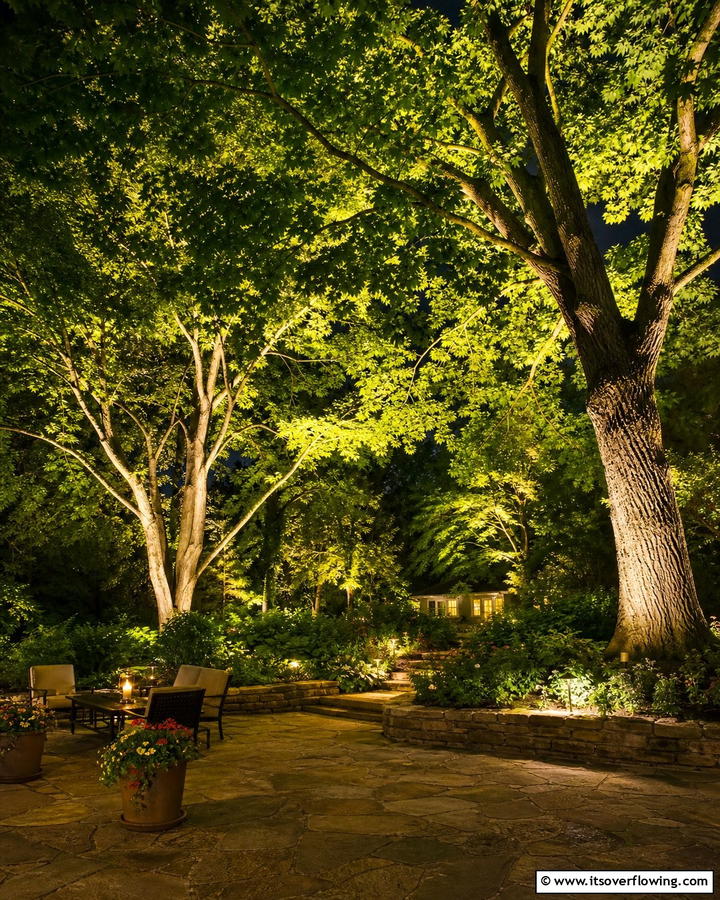 Tree Canopy Radiance - 21 Garden Lighting Ideas for Magical Outdoor Nights