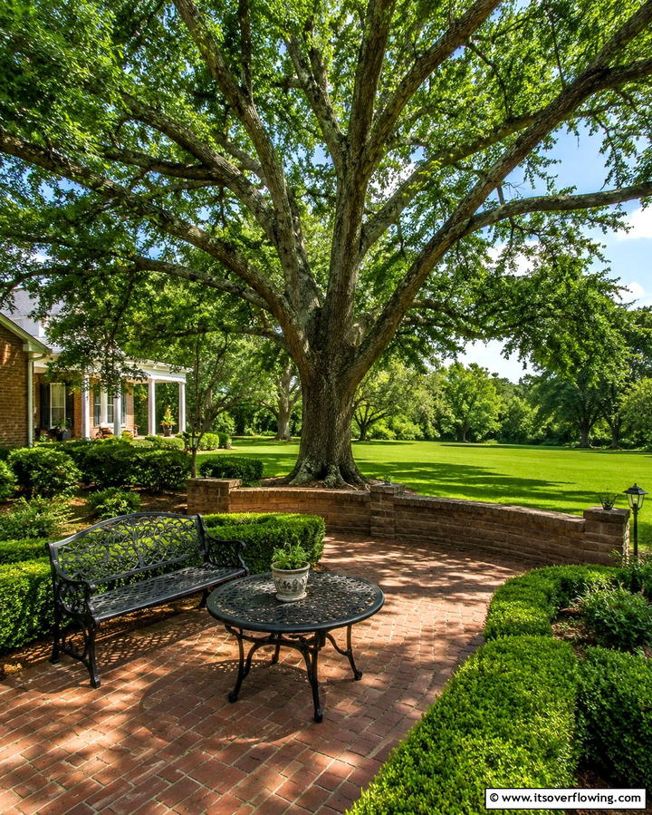 Tree Planting for Natural Shade - 30 Creative Shade Ideas for Stylish Outdoor Comfort