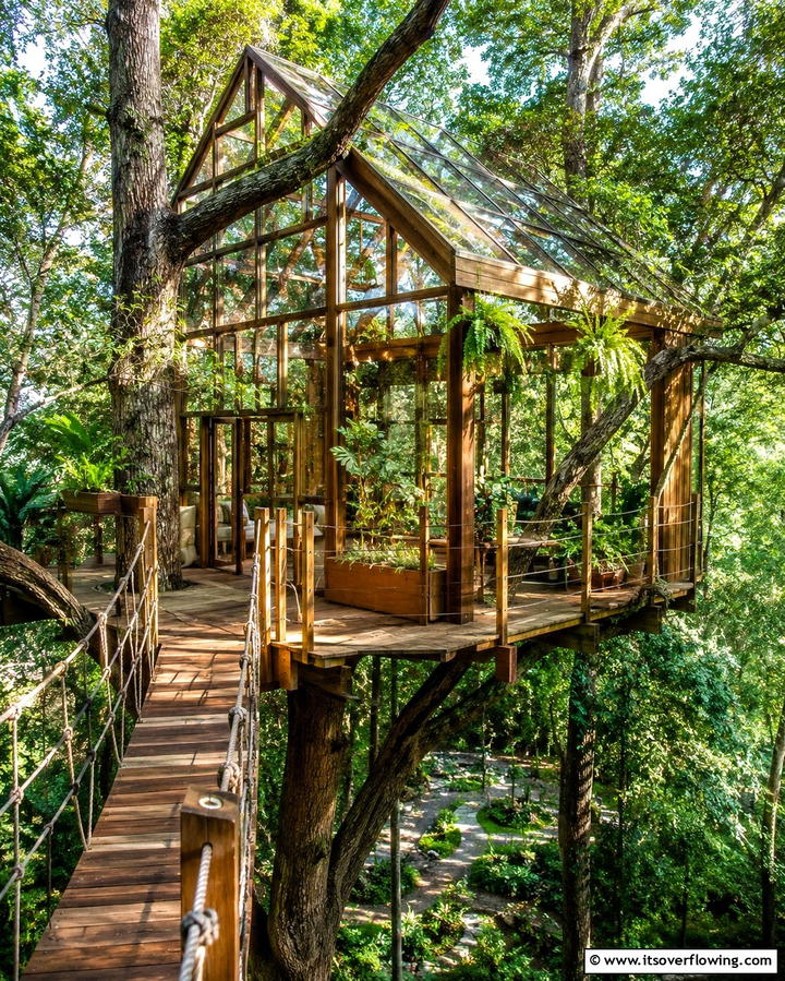 Treehouse Greenhouse - 25 Fantasy Greenhouse Ideas for a Magical Garden Escape