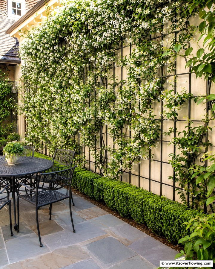 Trellis Walls - 25 Patio Wall Ideas to Transform Your Outdoor Space