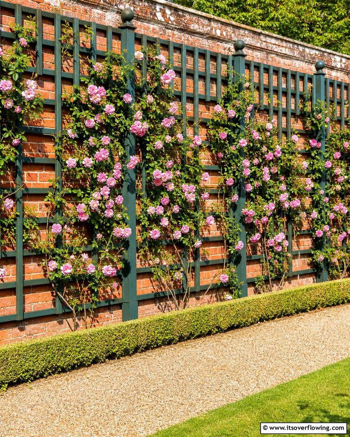 Trellis Walls - 25 Formal Garden Ideas- Elegant & Timeless Designs