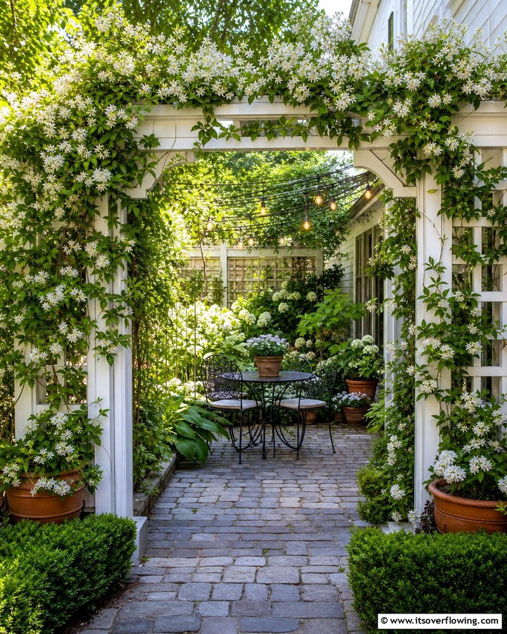 Trellis with Climbing Vines for Green Privacy - 21 Patio Privacy Solutions for Secluded Outdoor Relaxation