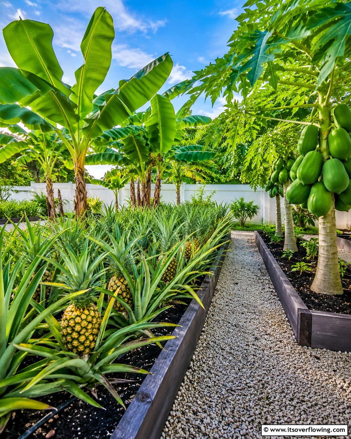 Tropical Edible Gardens - 25 Tropical Landscape Ideas for Your Outdoor Paradise