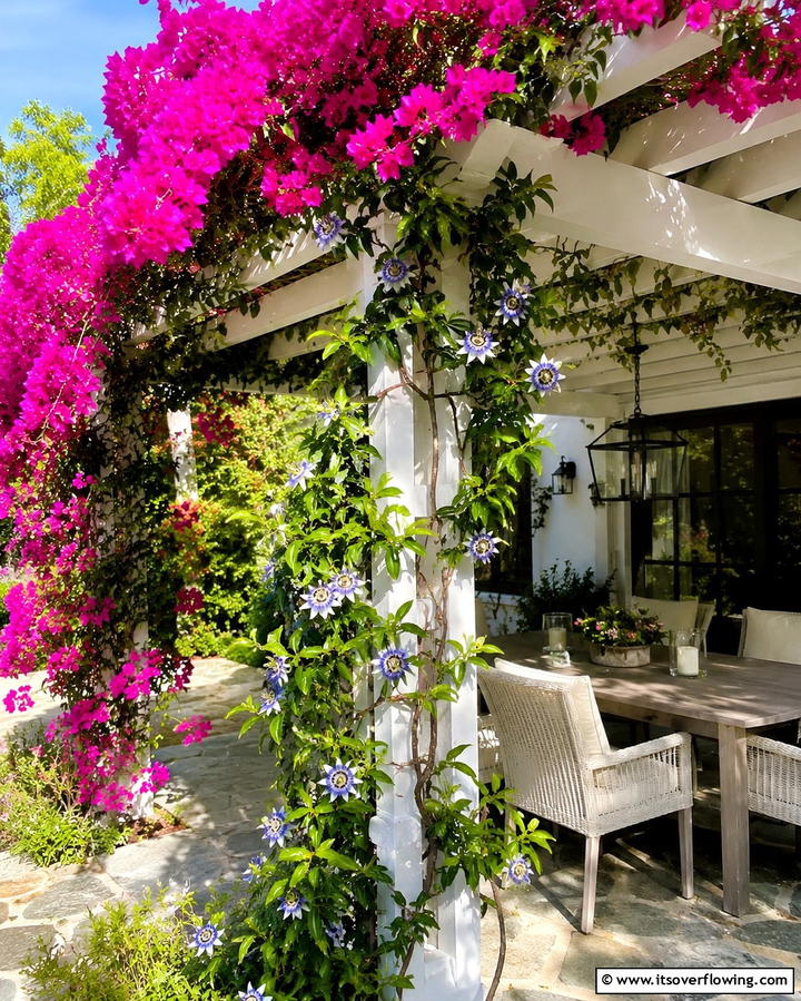 Tropical Flower Climbing Vines - 25 Tropical Landscape Ideas for Your Outdoor Paradise