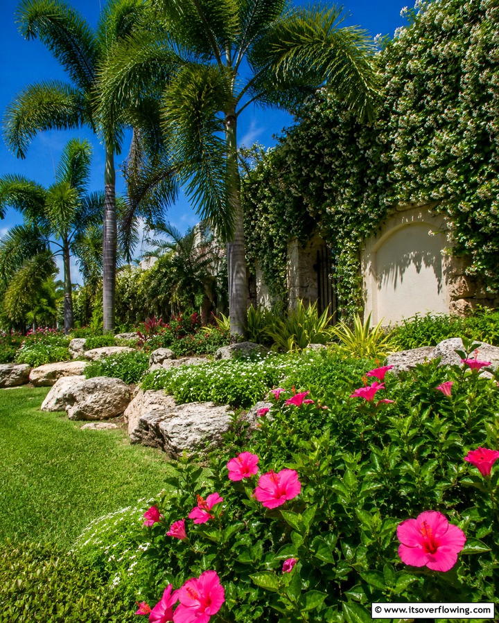 Tropical Landscaping - 30 Florida Backyard Ideas for Tropical Outdoor Living