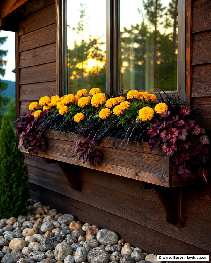 Twilight Marigold Magic - 30 Fall Window Box Ideas for Autumn-Inspired Floral Displays