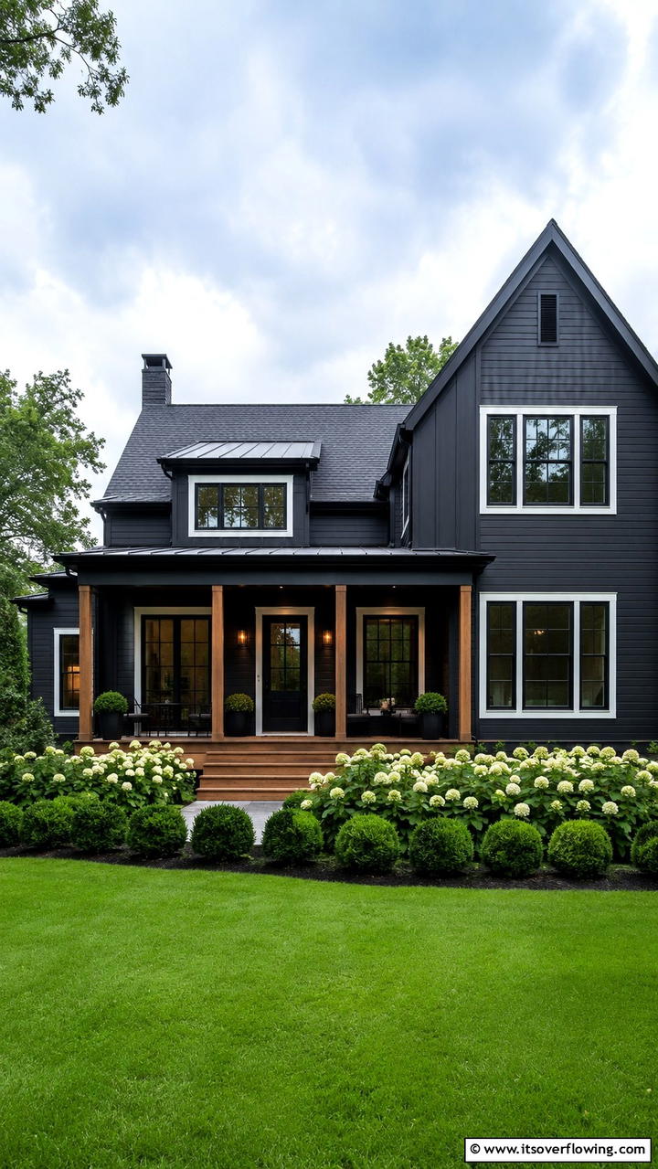 Understated Midnight Matte - 30 Black House Exteriors- Bold Paint Colors for Modern Homes