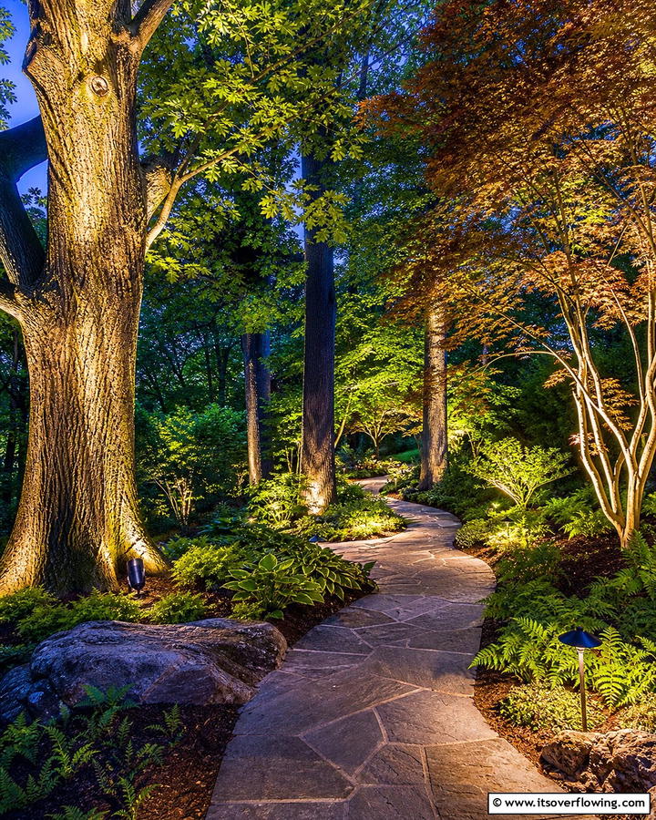 Up Lighting for Trees - 20 Pathway Lighting Ideas to Illuminate Your Garden