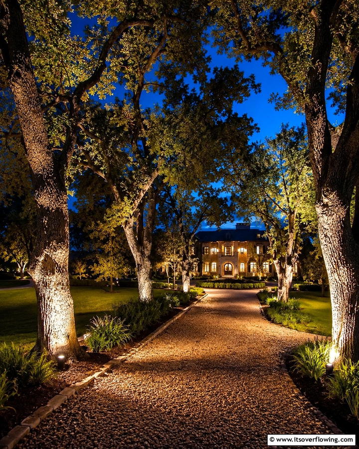 Uplighting for Trees Along Driveways - 25 Driveway Lighting Ideas to Illuminate Your Home