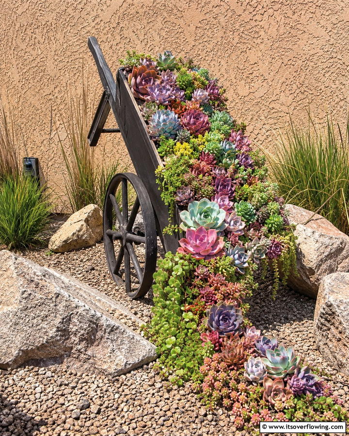 Vertical Succulent Planter - 25 Old Wheelbarrow Ideas for Unique and Creative Garden Decor