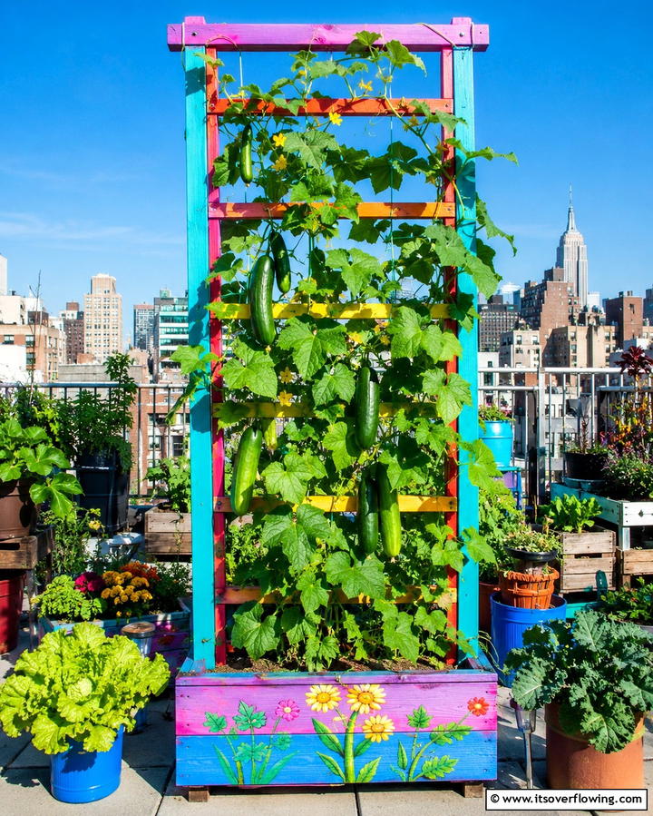 Vertical Wooden Frame TrellisOne - 25 Cucumber Trellis Ideas for a Productive Garden
