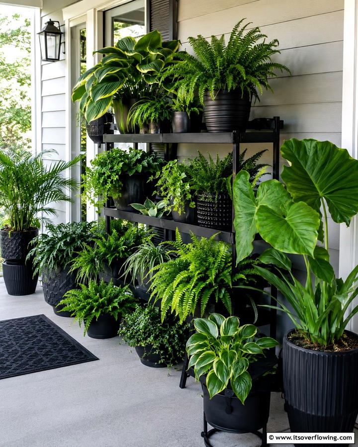 Vibrant Black and Green Plant Mix - 30 Inviting Black Porch Ideas for a Modern Outdoor Oasis